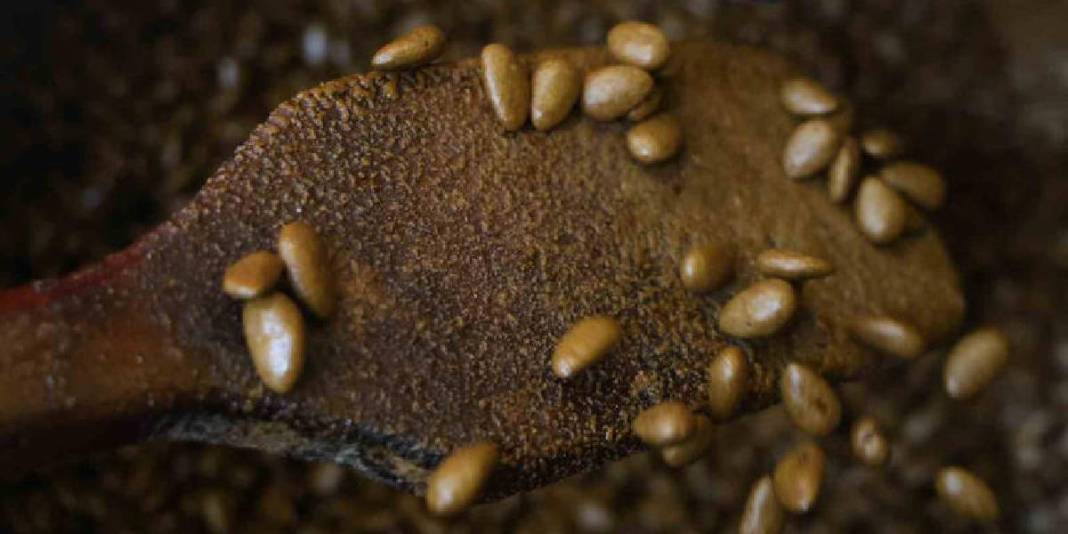 Geleneksel iki lezzet buluştu yenilik çok sevildi! Kahveyle badem şekerinin buluşması yoğun ilgi gördü 6